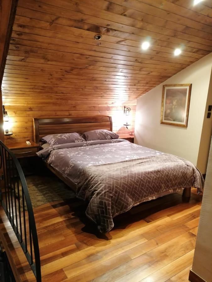 Karina Art Mountain View Apartment София Экстерьер фото